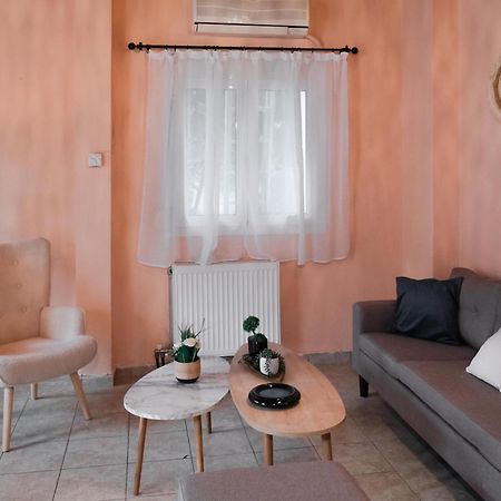 Appartement Cozy House In Pelion à Káto Lekhónia Extérieur photo